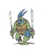 THE TEENAGE MUTANT NINJA TURTLES EXPERIENCE